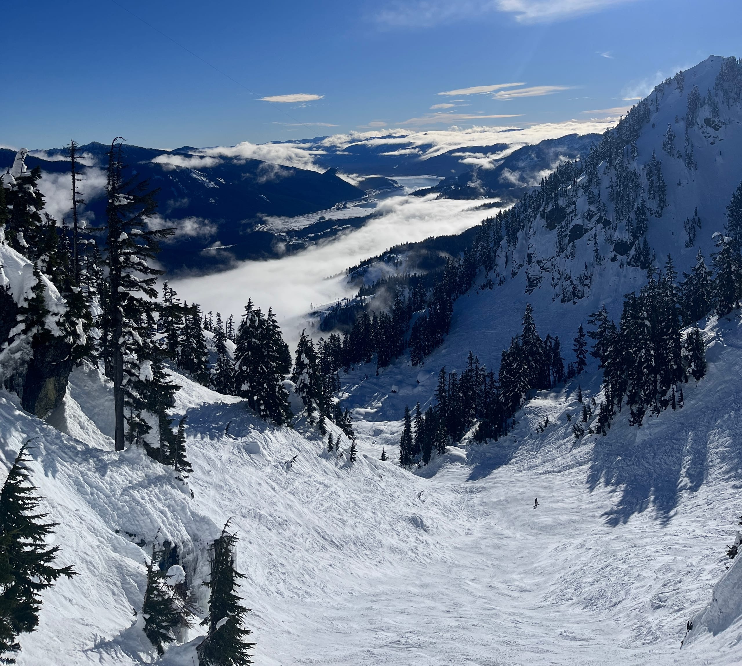 Steep snow-filled chute lined with conifers at Alpental dropping toward a cloud-filled valley.
