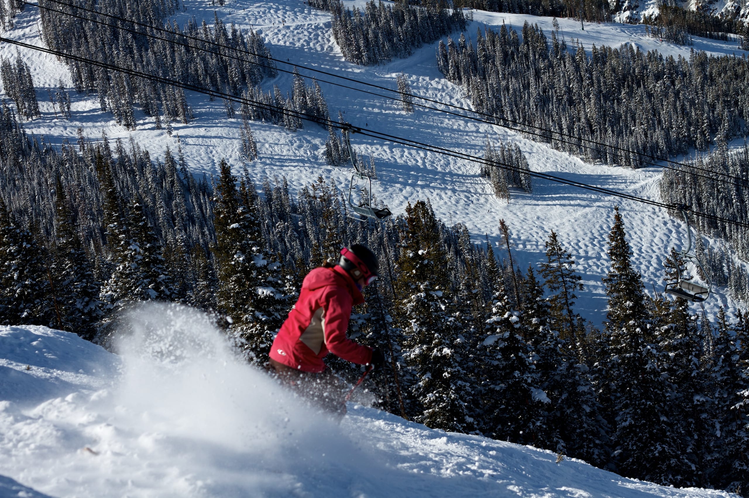 A skier in a red jacket carves through powder on a treed slope below a chairlift line, with cut runs beyond
