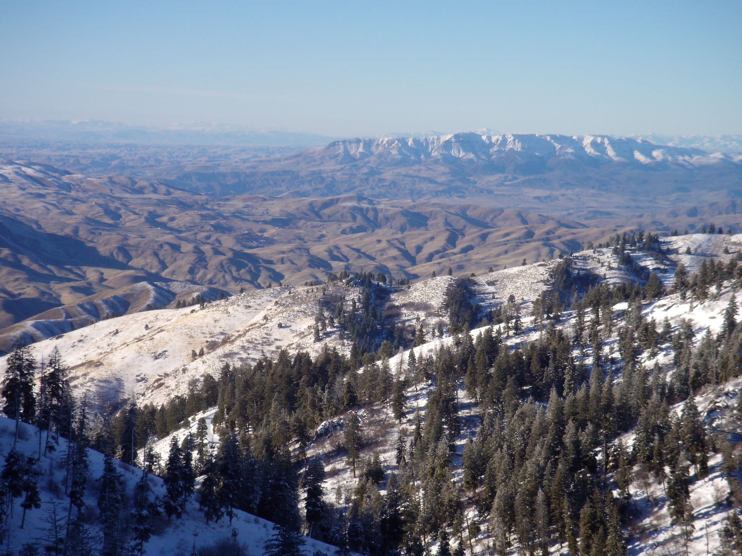 Snowy wooded ridge above brown foothills, with a distant snow-capped range under a clear blue sky.