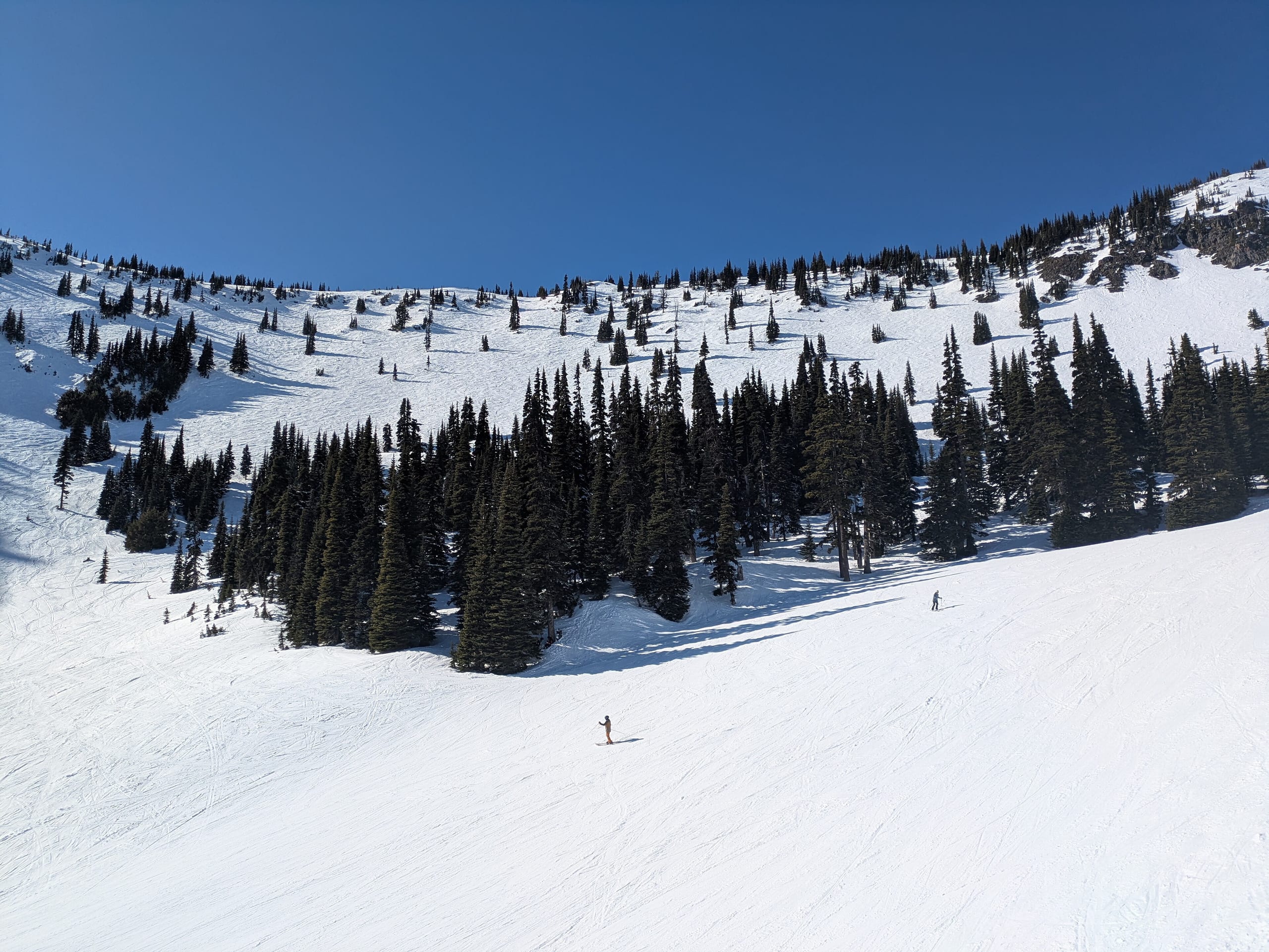 Wide snow-covered ski run with scattered conifers and two small skiers under a clear blue sky