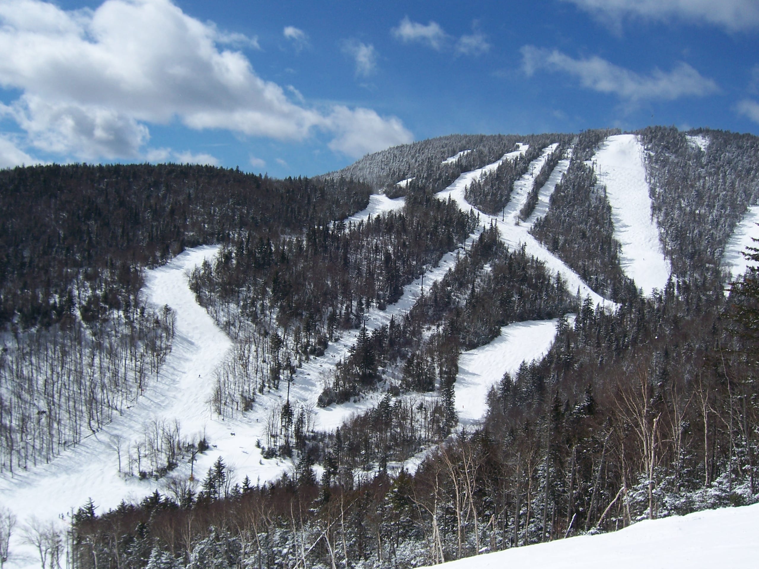 Snow-covered ski trails cutting through forest on Gore Mountain's summit ridge under a blue sky