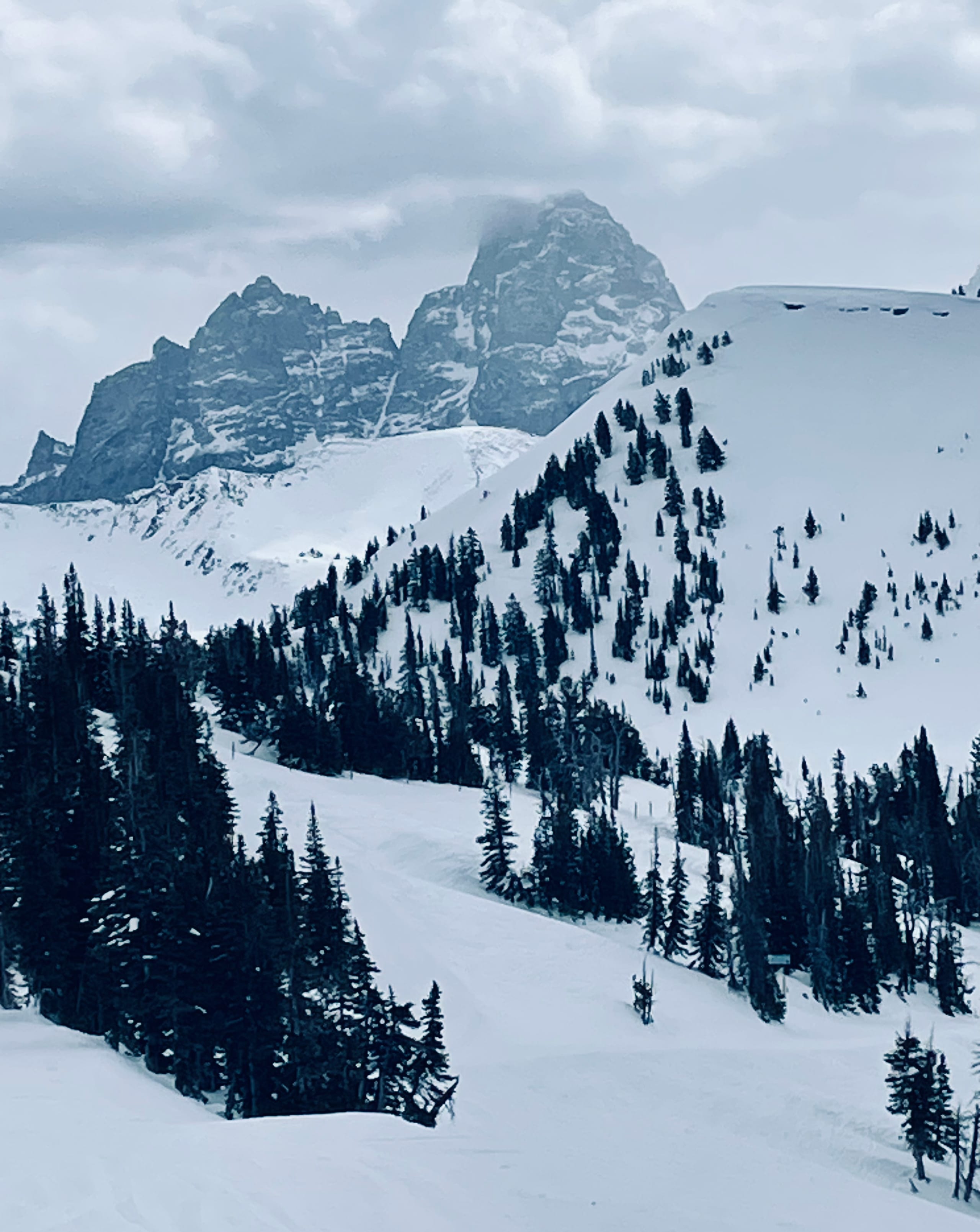 Snowy ski slopes and scattered conifers below the cloud-capped Grand Teton range under a grey sky.