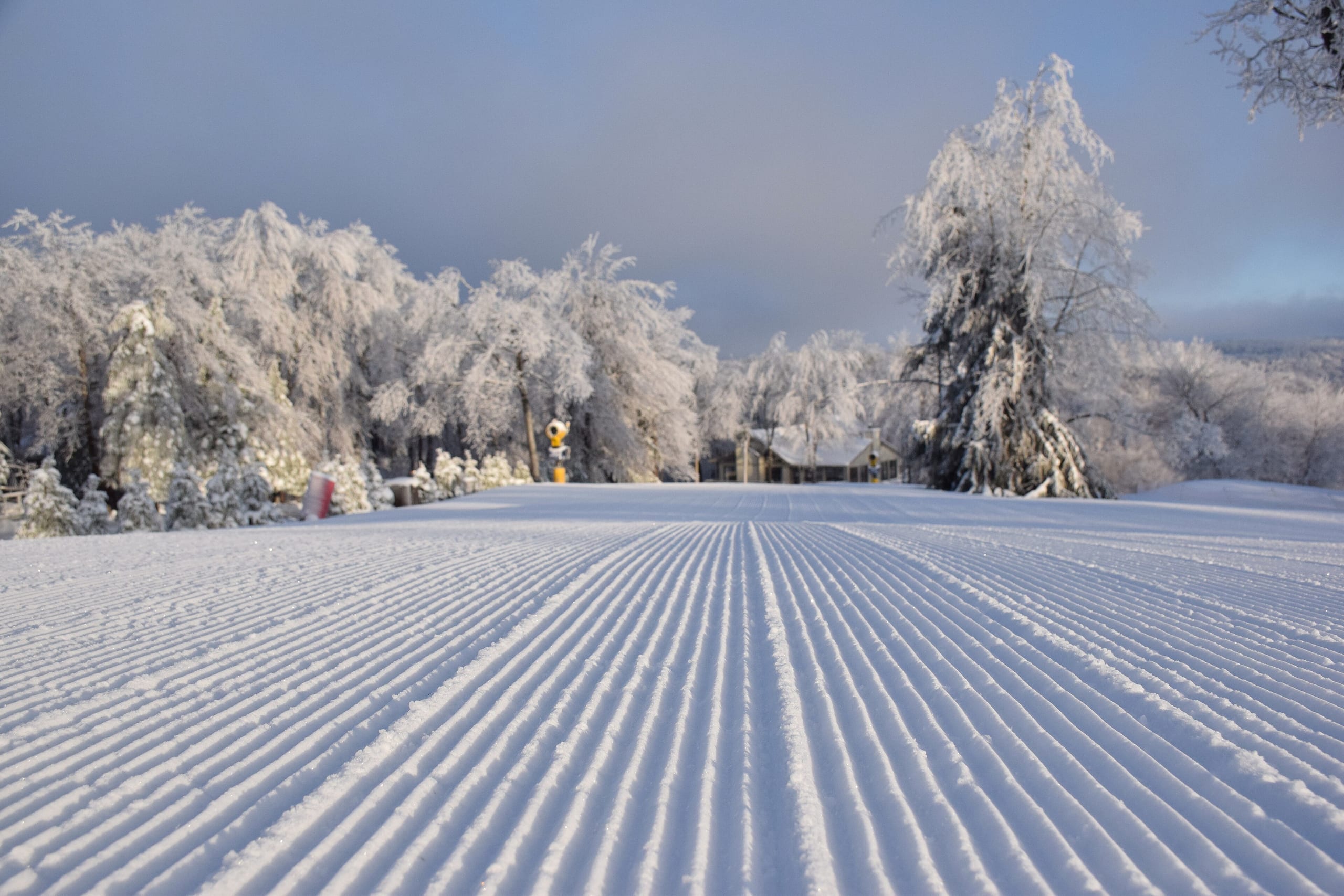Freshly groomed corduroy ski run with rime-covered trees and a snow gun at the treeline
