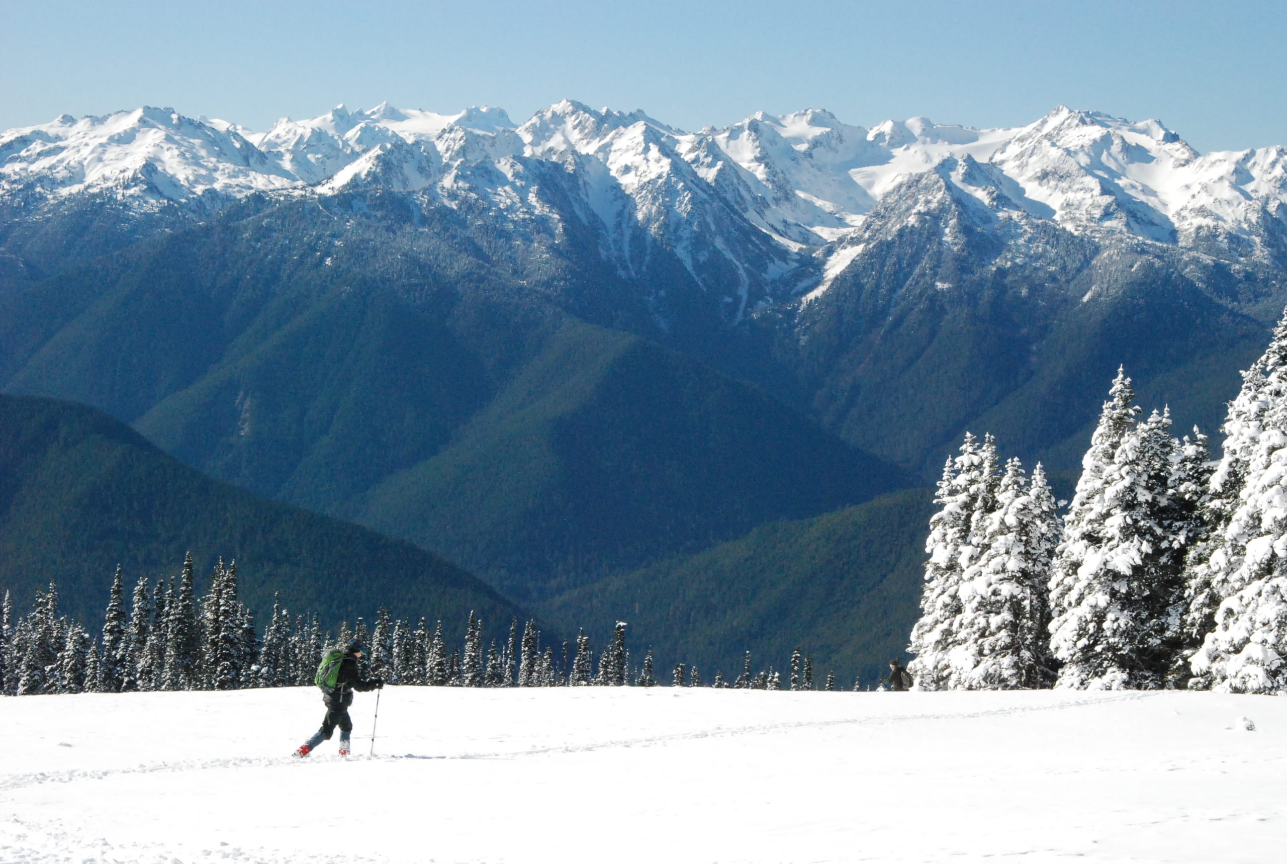 A cross-country skier crosses a snowfield at Hurricane Ridge with the snowy Olympic peaks behind