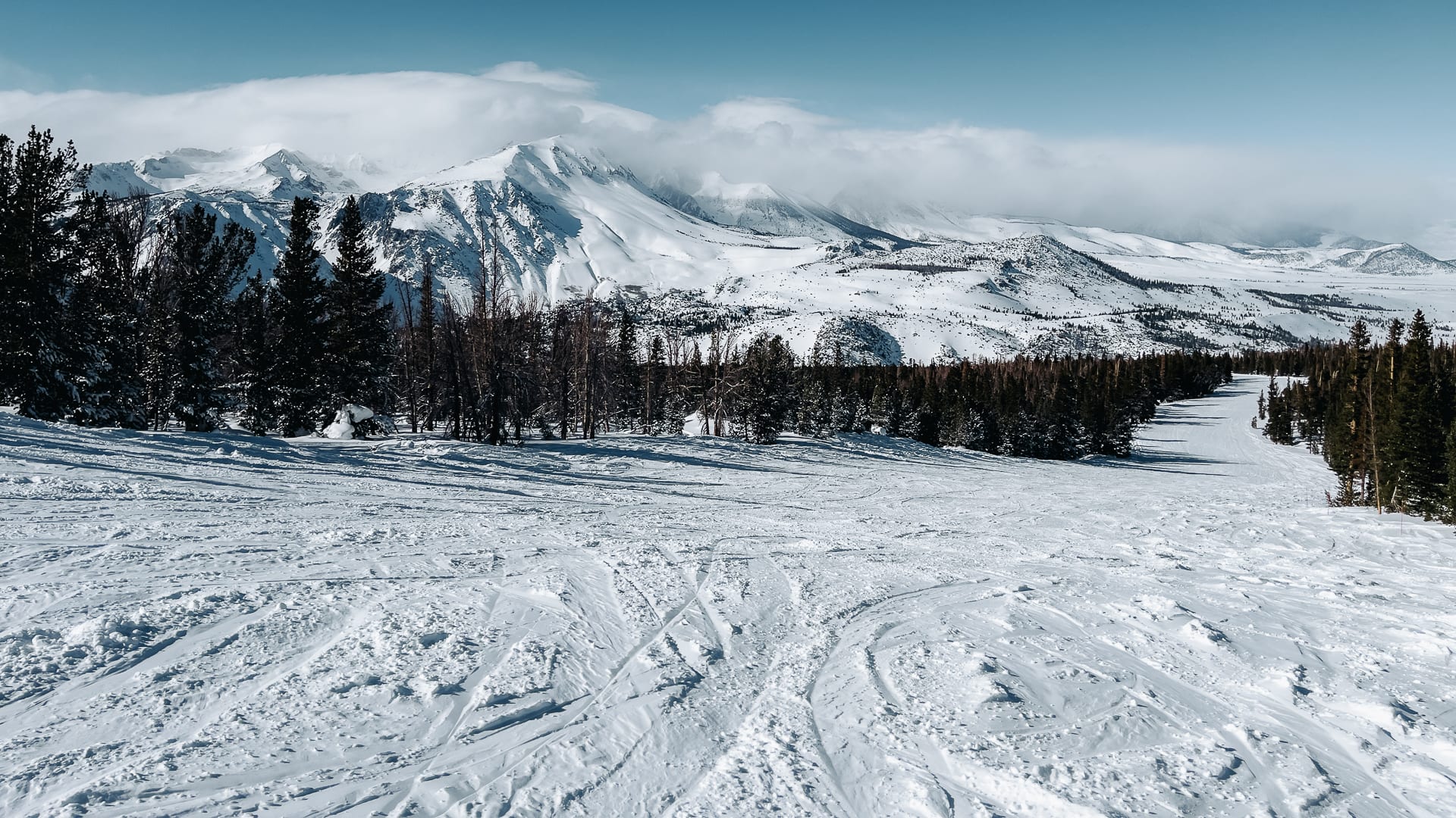 Groomed ski run with pines and snow-covered Sierra peaks under cloud in the distance