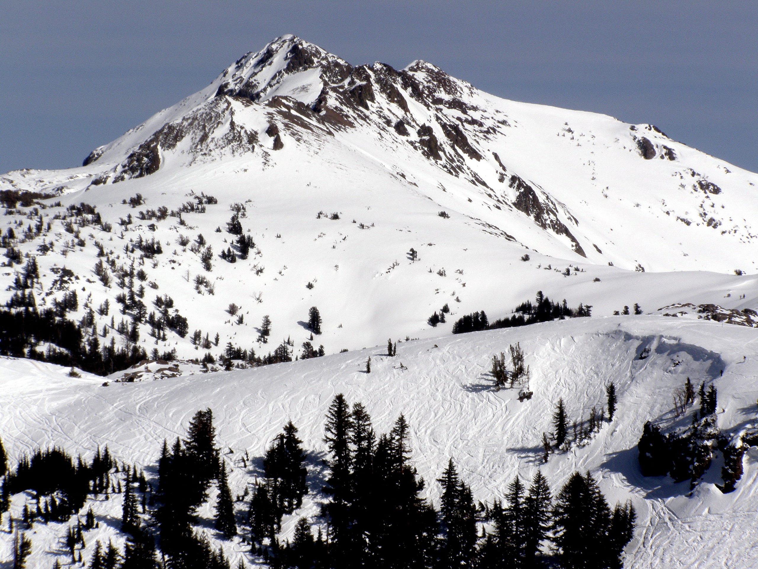 Snow-covered rocky peak above open snowfields and scattered conifers, with ski tracks on the slopes below