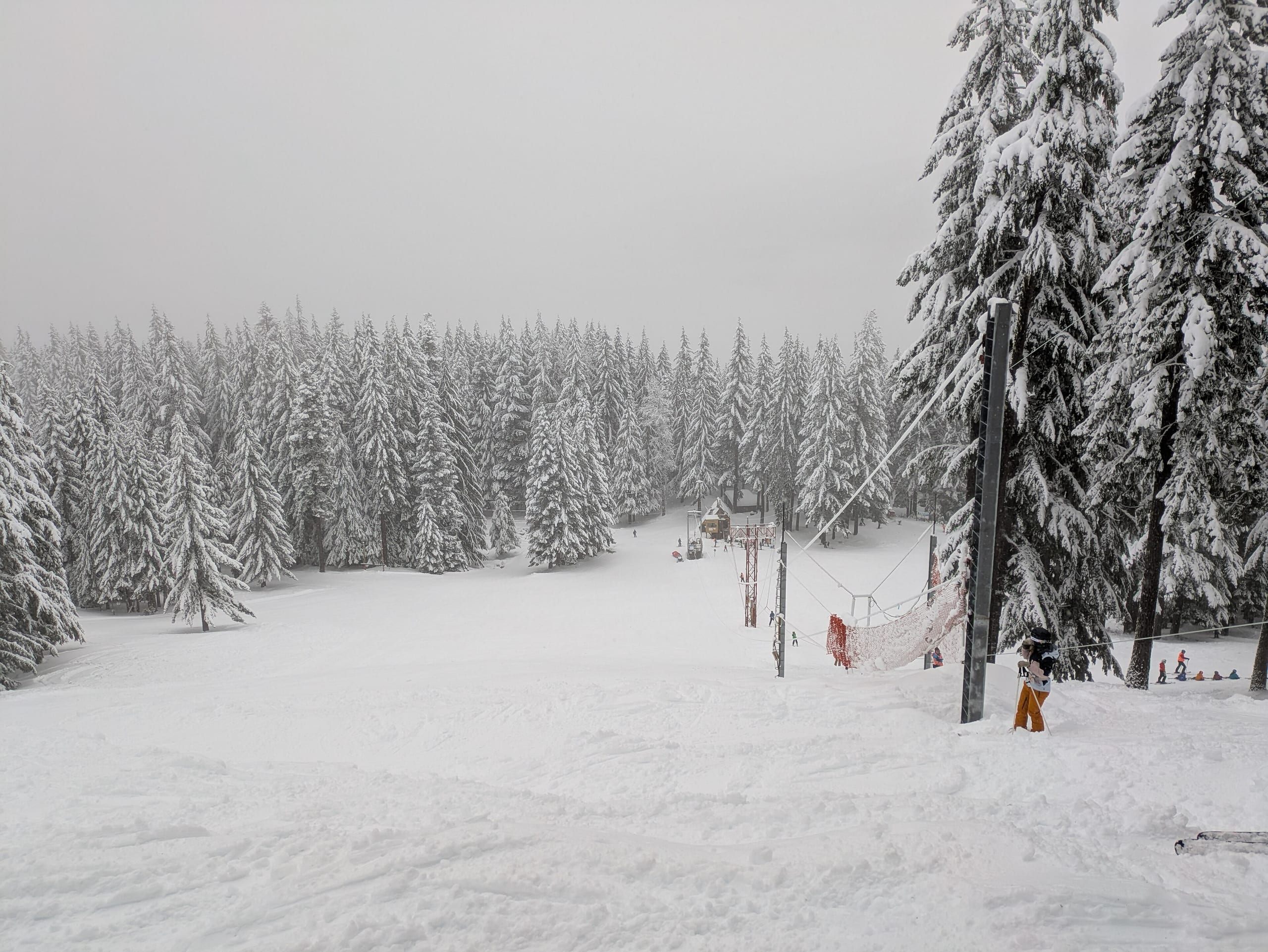 Snow-covered rope tow slope lined with heavily flocked evergreens under flat gray sky