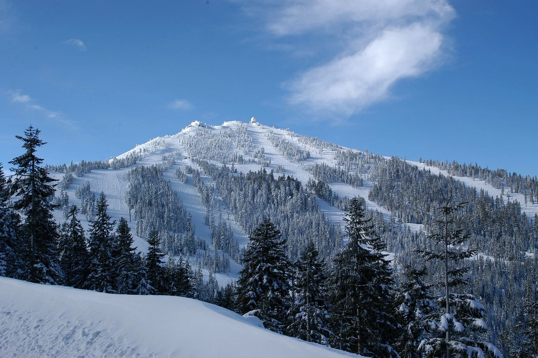 Snow-covered Mount Ashland with ski runs cut through conifer forest under a blue sky