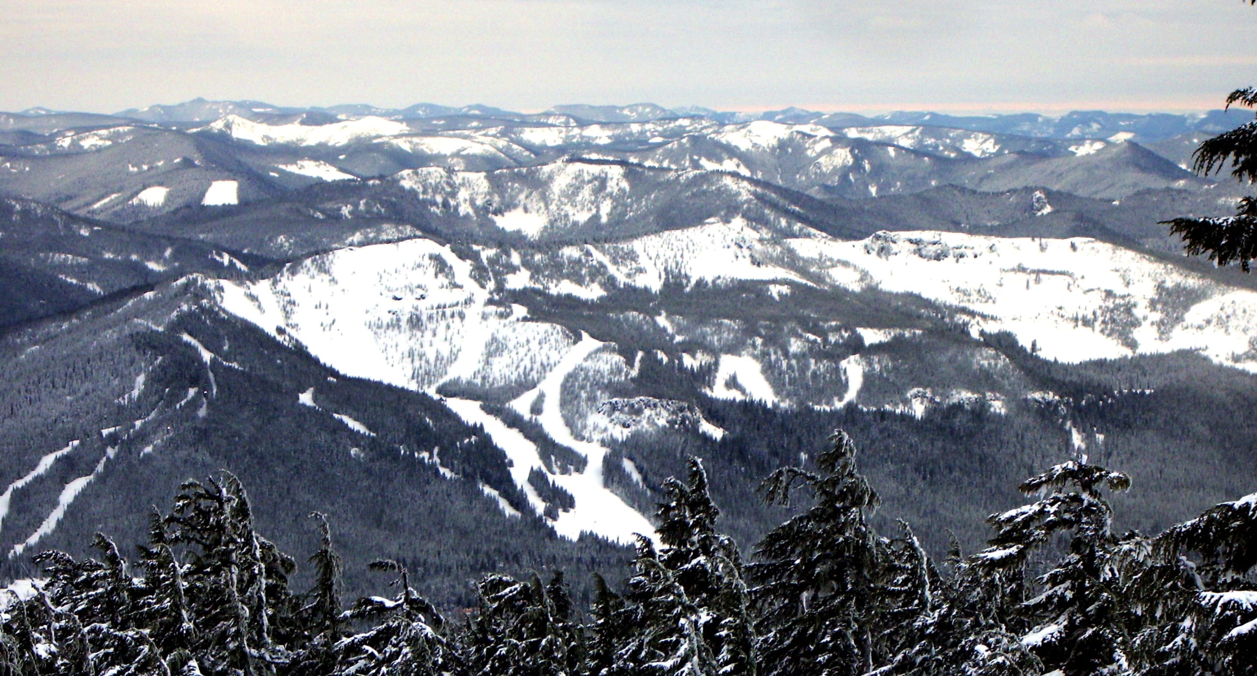 Snow-covered ski runs of Mount Hood Skibowl seen from across the valley, with forested ridges beyond