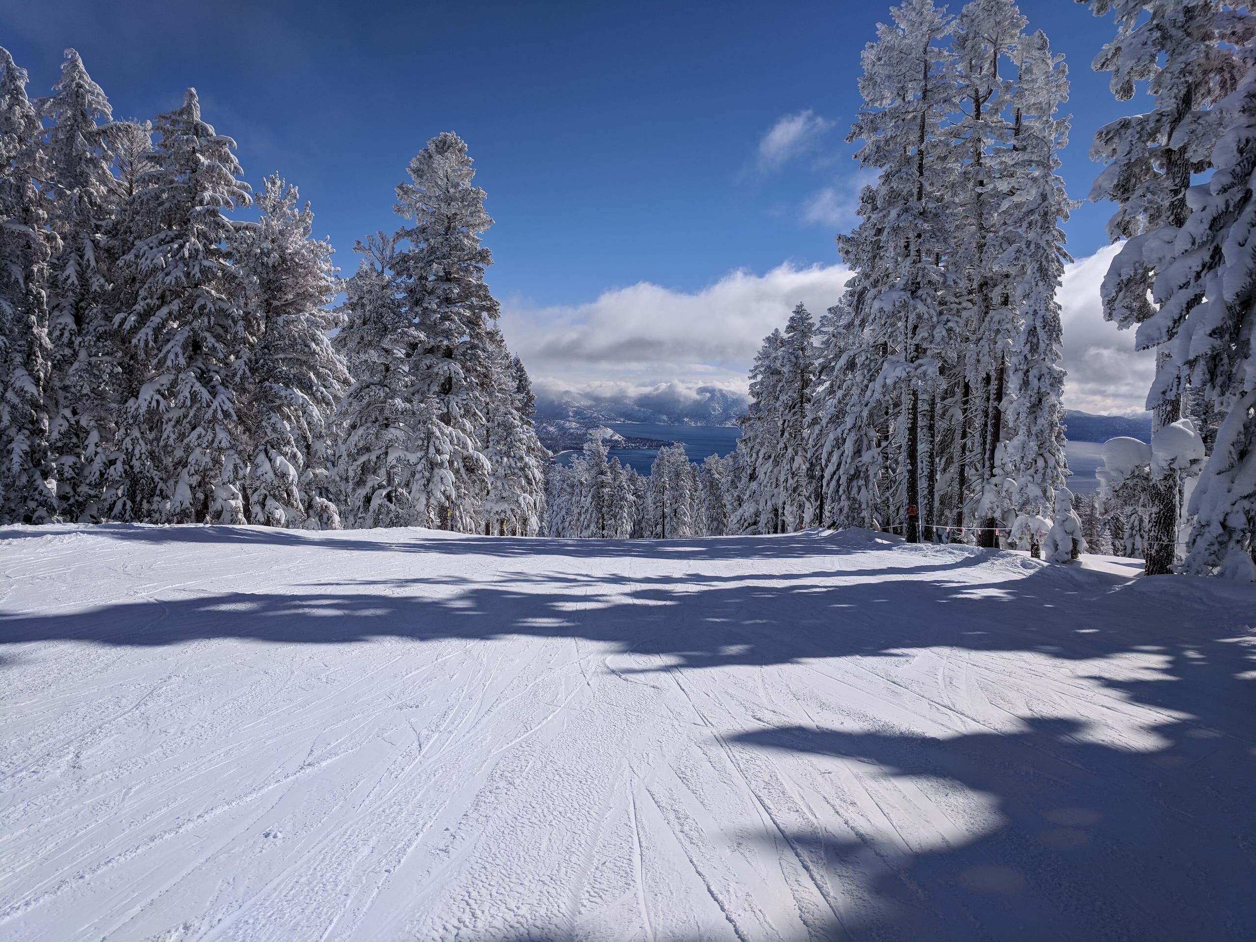 Groomed snow-covered run lined with snow-laden pines, with Lake Tahoe visible in the distance