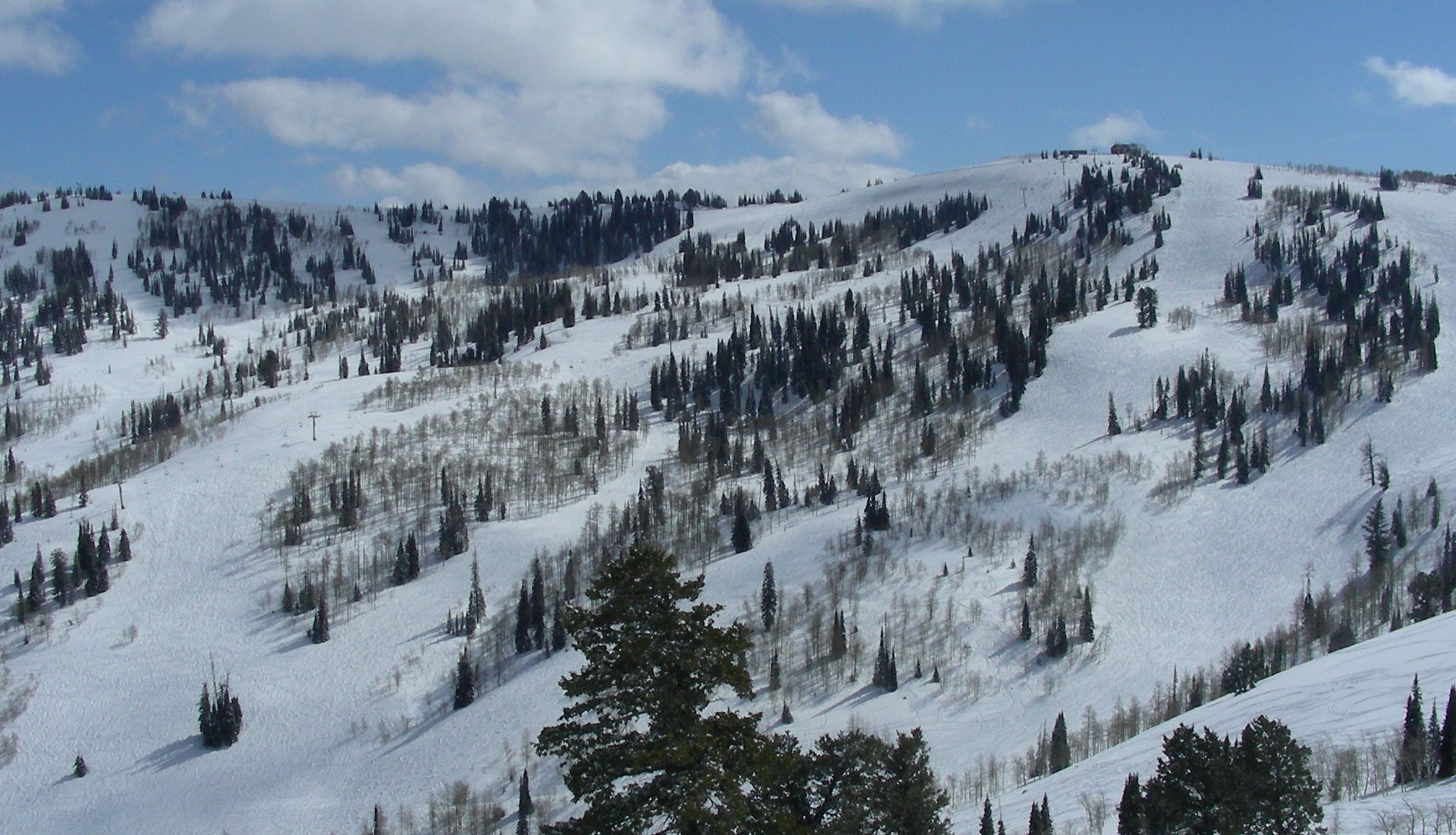 Snow-covered treed slopes and a chairlift line on Powder Mountain's Hidden Lake area under blue sky