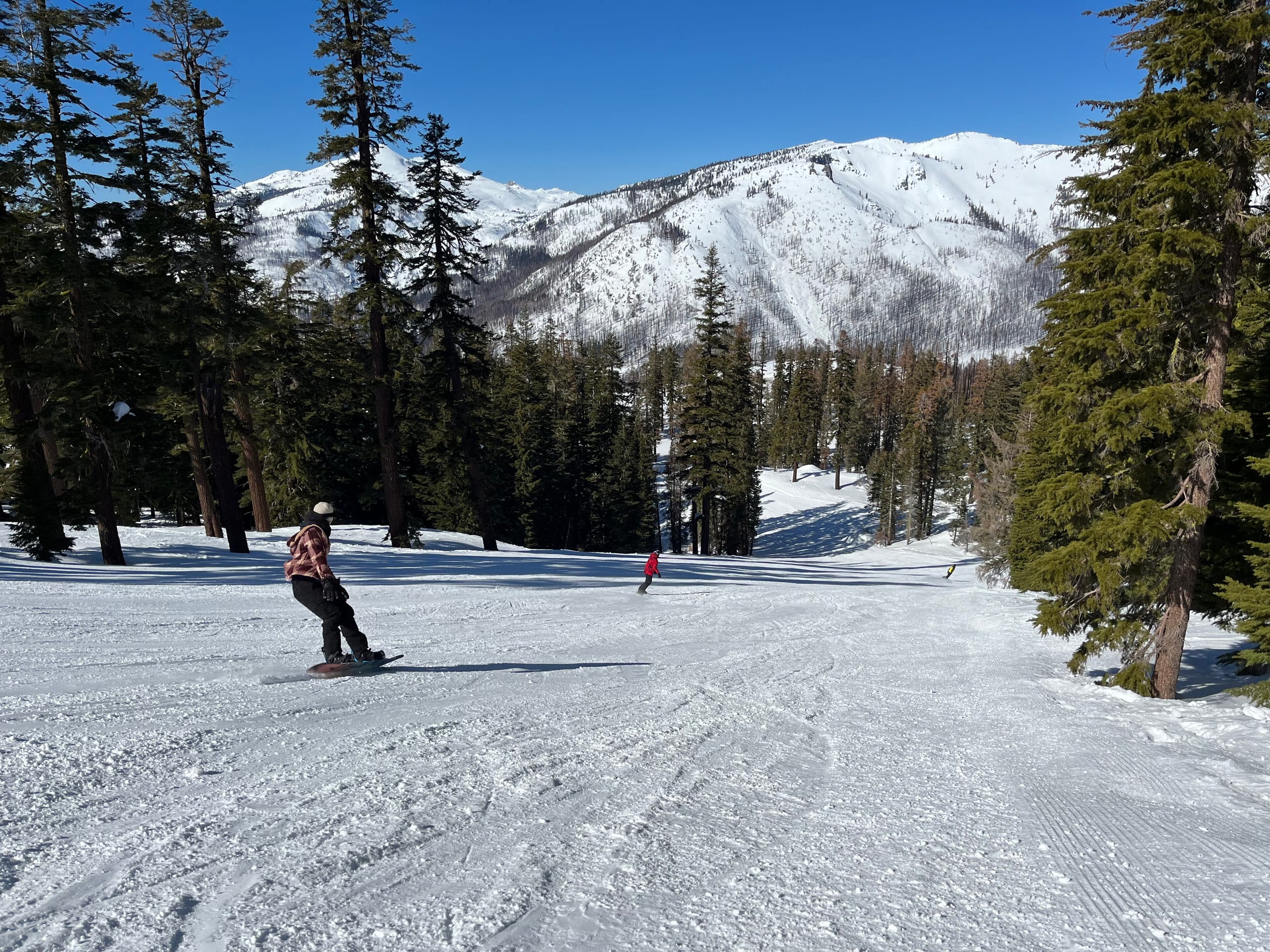 Snowboarder descending a groomed run at Sierra-at-Tahoe, with burned forested ridges under blue sky