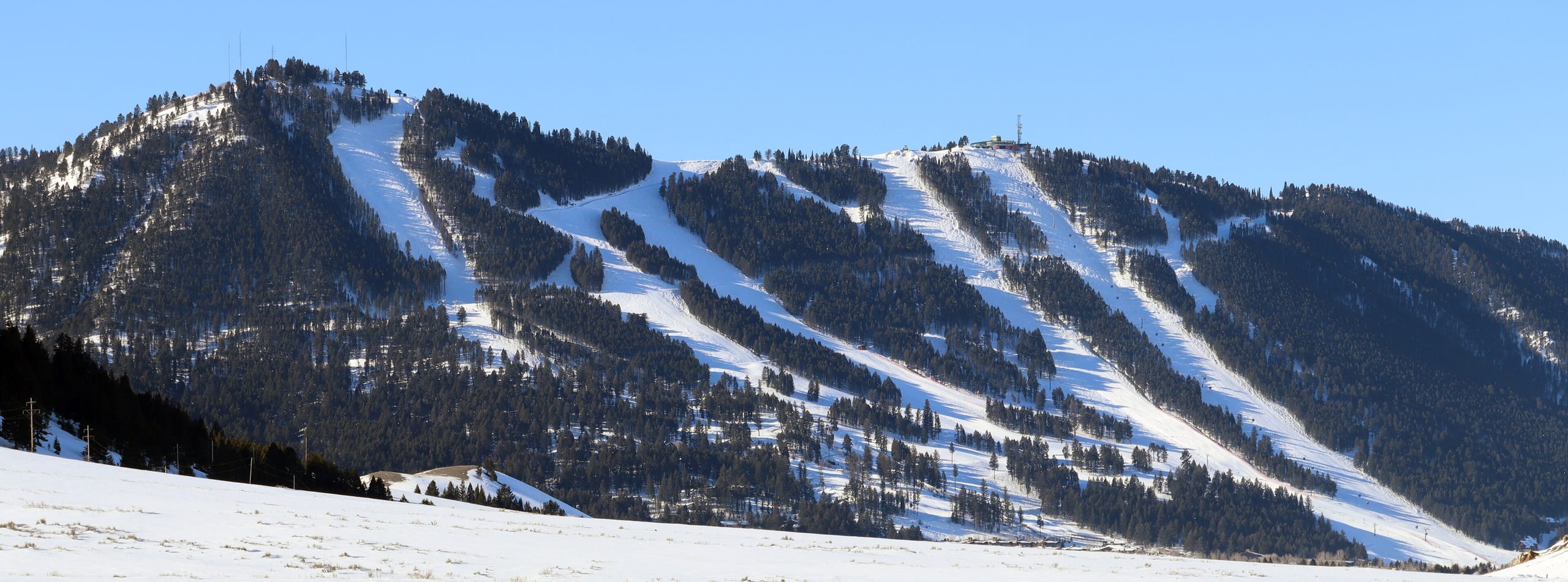 Snow-covered ski runs on Snow King Mountain seen from the National Elk Refuge in March