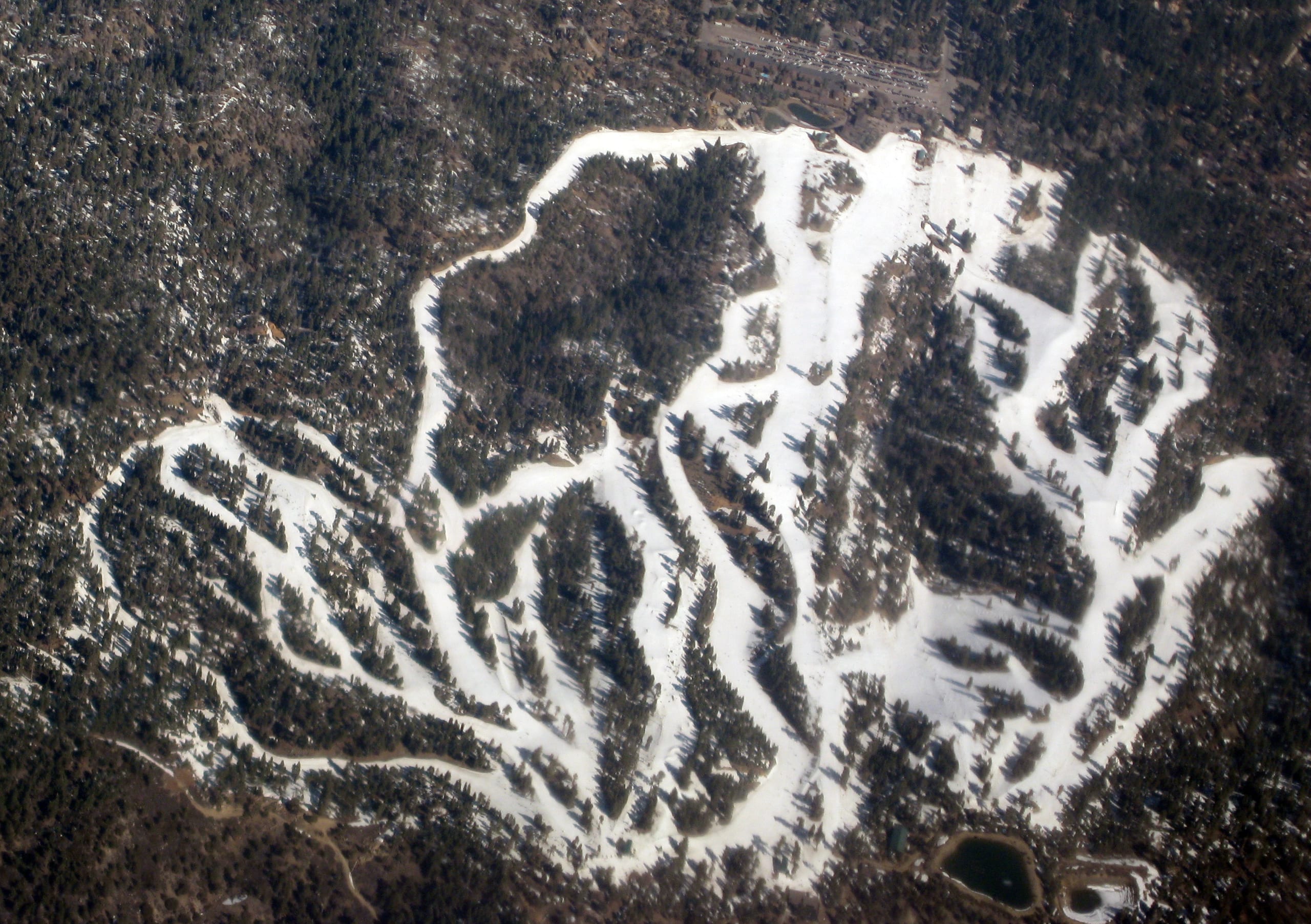 Aerial view of Snow Summit's white ski runs fanning through dark forest, with bare brown ground around them.
