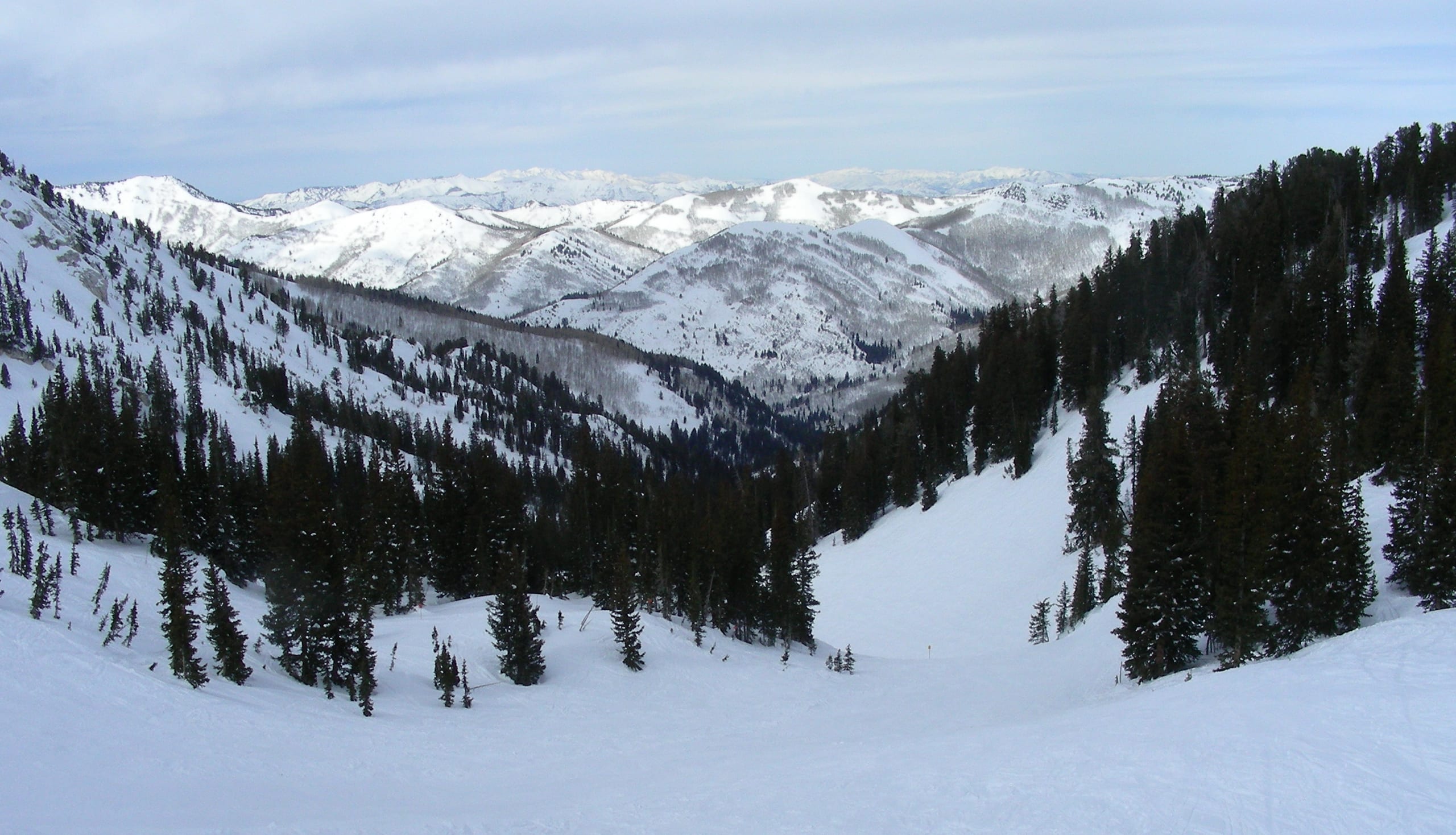 Snow-covered Honeycomb Canyon at Solitude, with treed slopes descending to a wide snowy bowl and peaks beyond