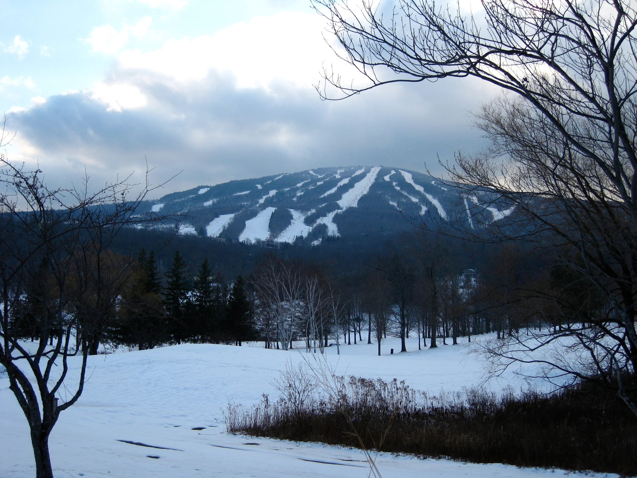 Snow-covered ski trails on a broad mountain seen from a snowy field framed by bare trees