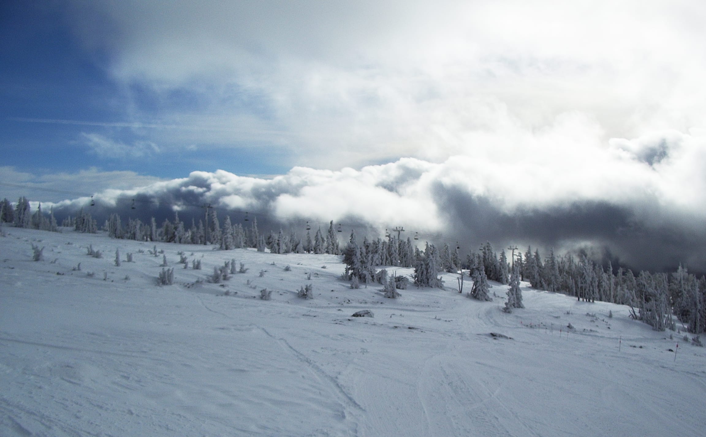 Snow-covered slope with rime-coated trees and a chairlift line running above a layer of low clouds.