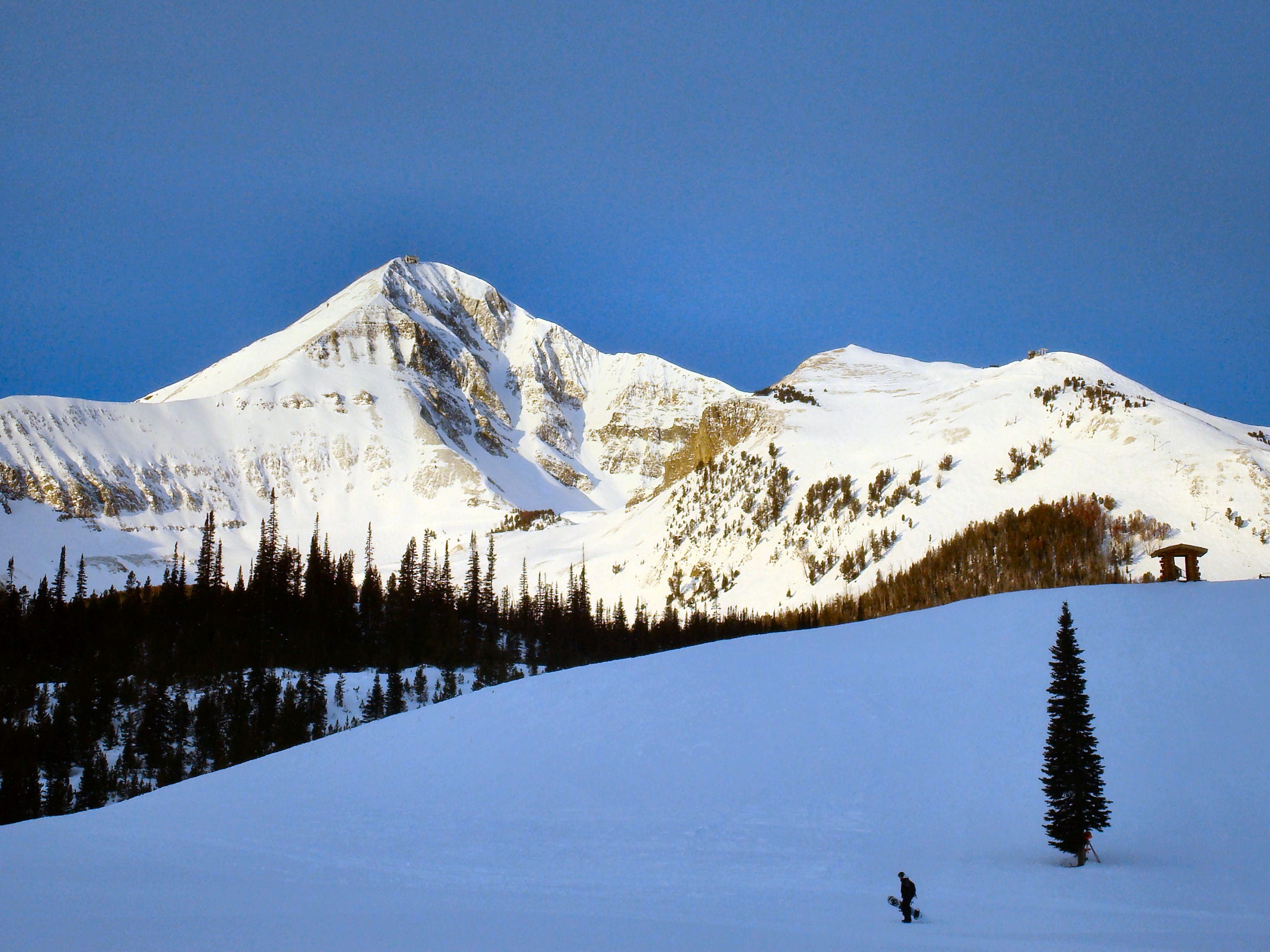 Snow-covered Lone Peak and Headwaters Bowl above a groomed slope with a lone snowboarder and pine tree