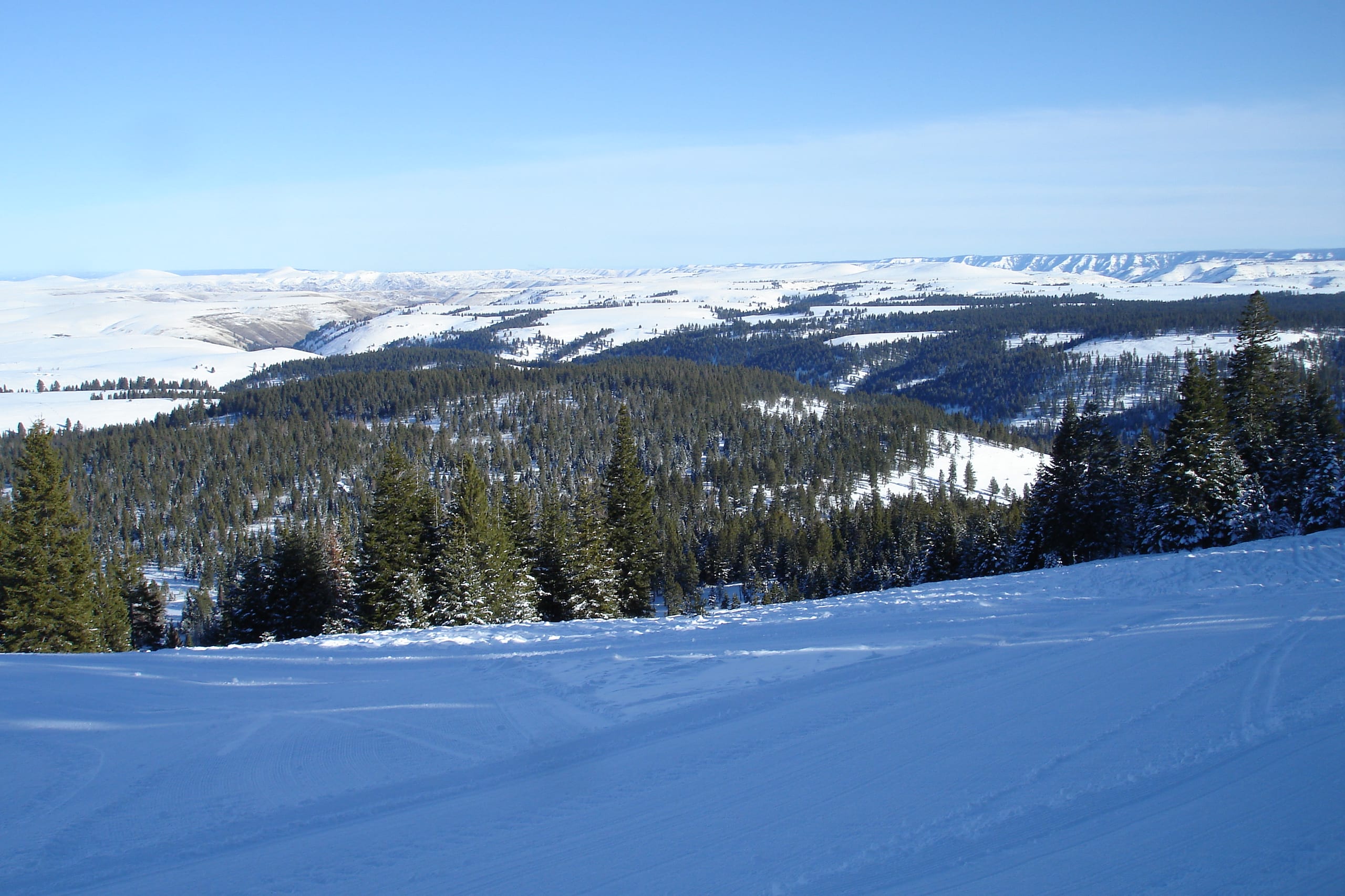 Groomed snowy slope at the top of Ferguson Ridge, overlooking forested ridges and snow-covered hills